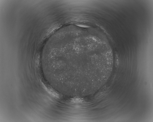 X0000076070451200610202018