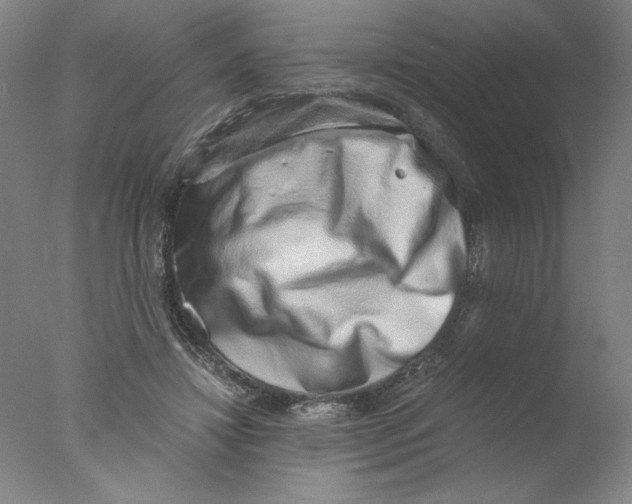 X0000076070452200610202018