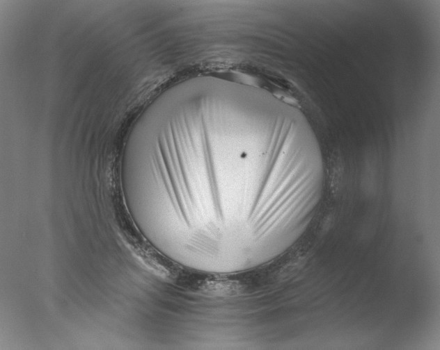 X0000076070455200610202018