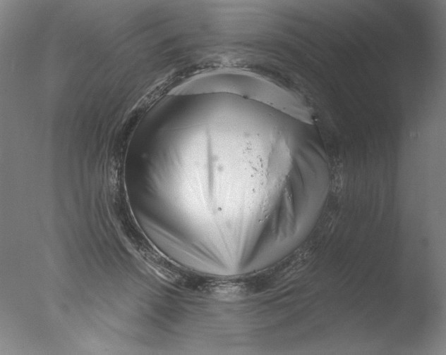 X0000076070456200610202018