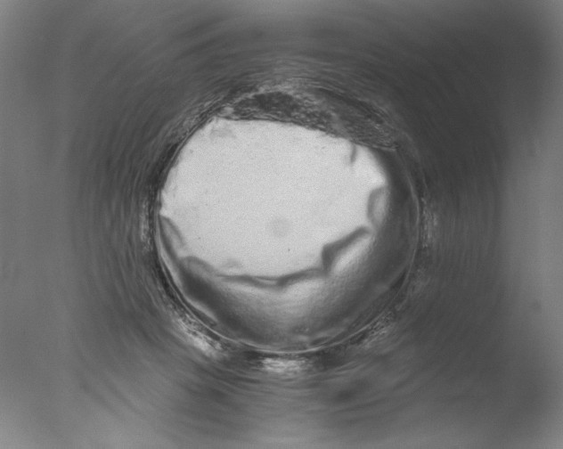 X0000076070457200610202018