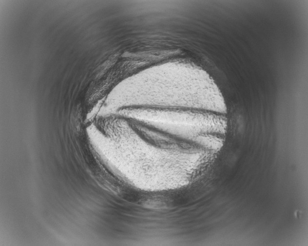 X0000076070459200610202018