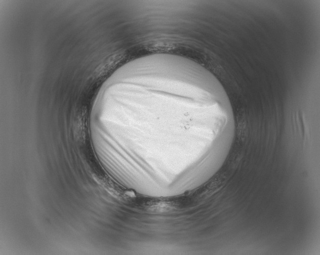 X0000076070460200610202019