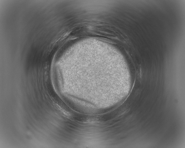 X0000076070462200610202019