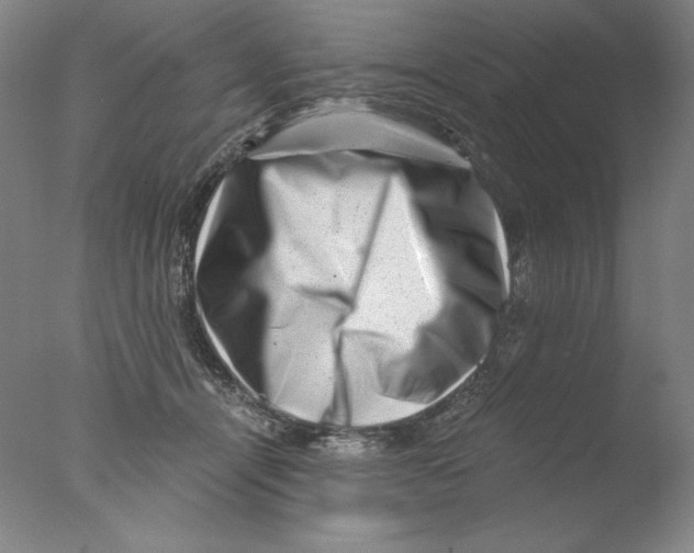 X0000076070464200610202019