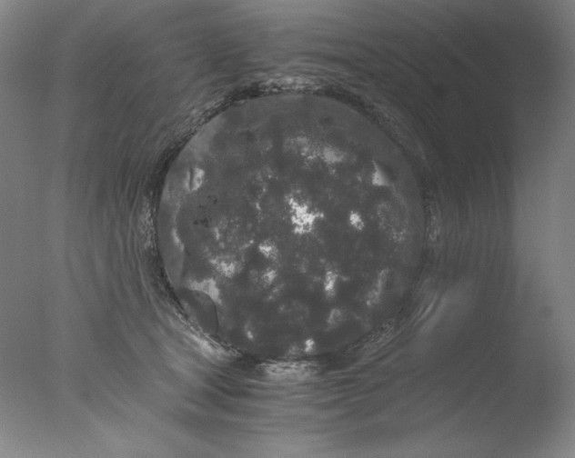 X0000076070465200610202019