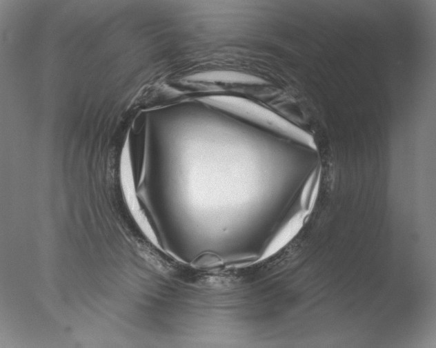 X0000076070466200610202019