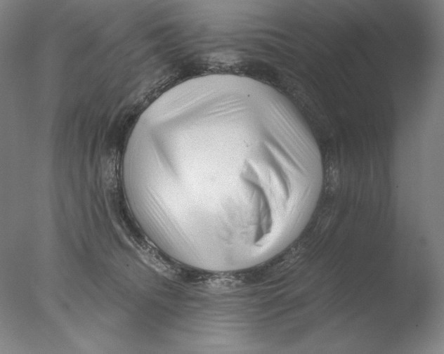 X0000076070468200610202019