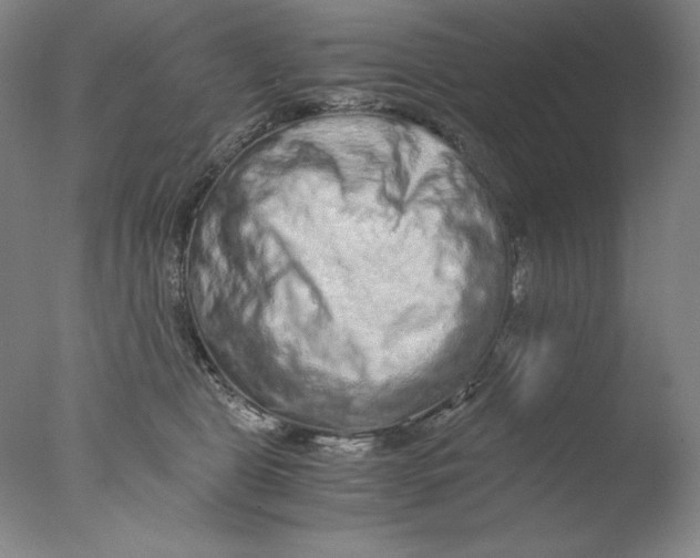 X0000076070469200610202019