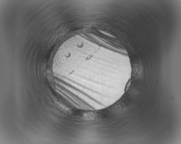 X0000076070470200610202019