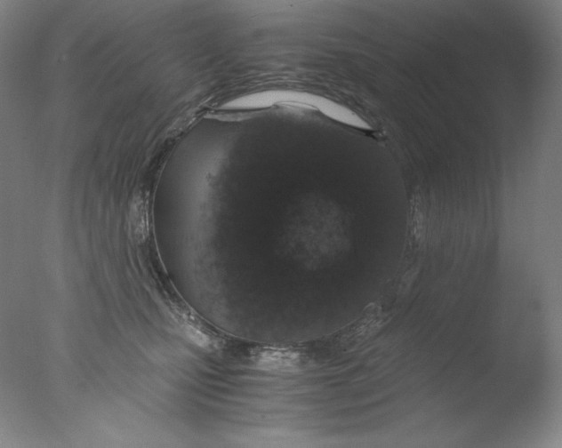 X0000076070471200610202019