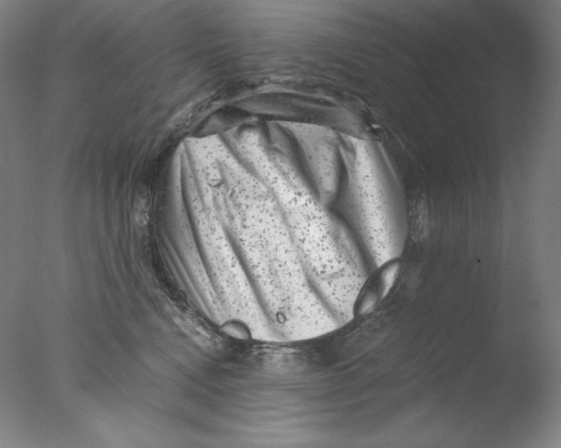 X0000076070472200610202019