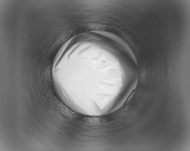 X0000076070473200610202019