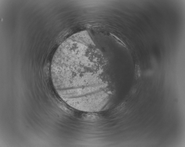 X0000076070475200610202019