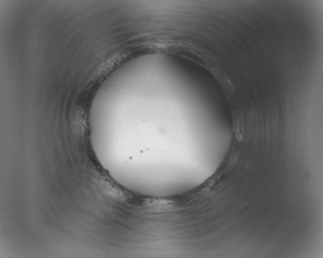 X0000076070476200610202019