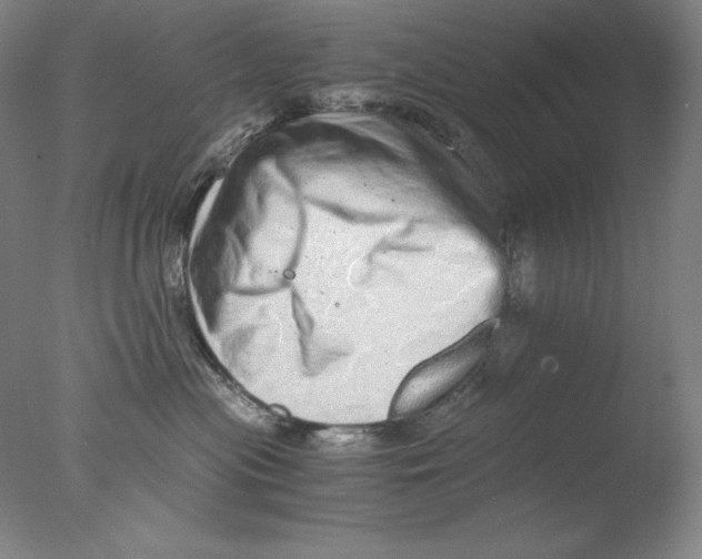 X0000076070477200610202019