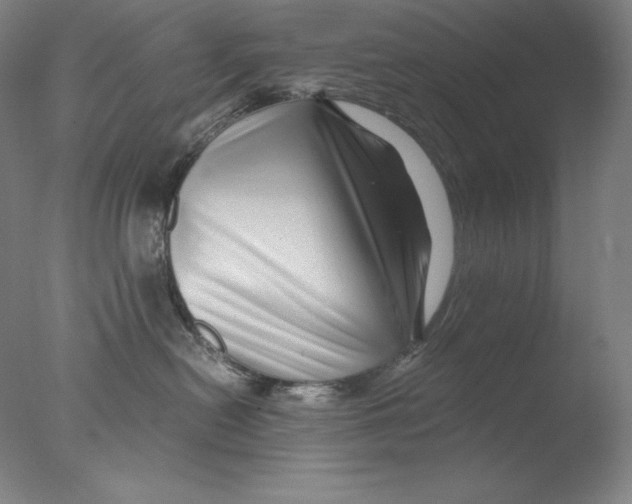 X0000076070478200610202019