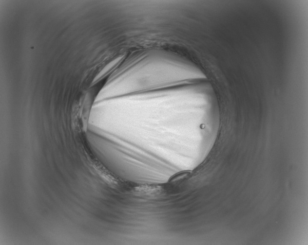 X0000076070480200610202019