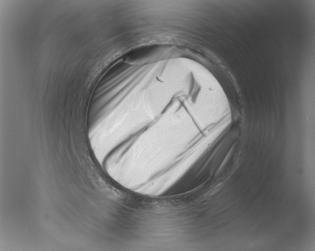 X0000076070481200610202018