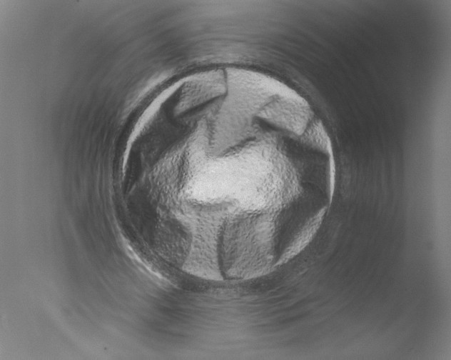 X0000076070482200610202018