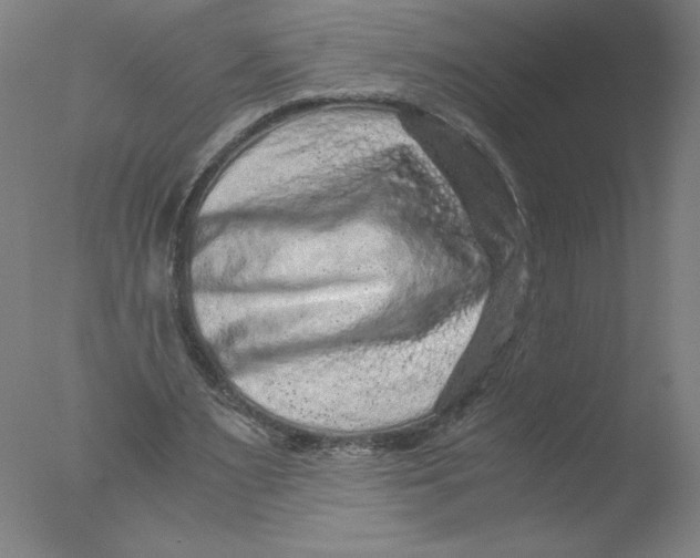 X0000076070483200610202018