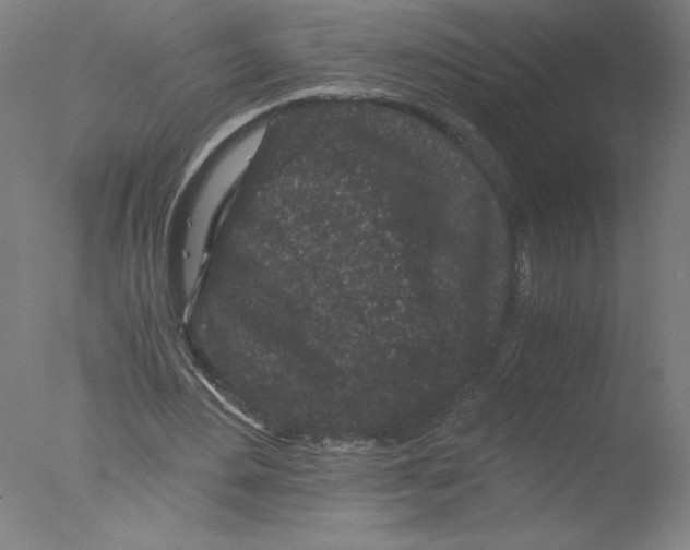 X0000076070484200610202018