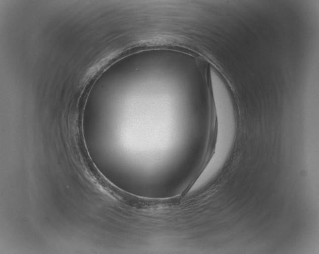 X0000076070485200610202018