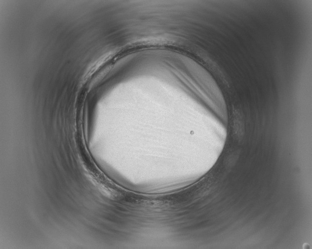 X0000076070486200610202018