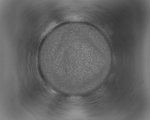 X0000076070487200610202018