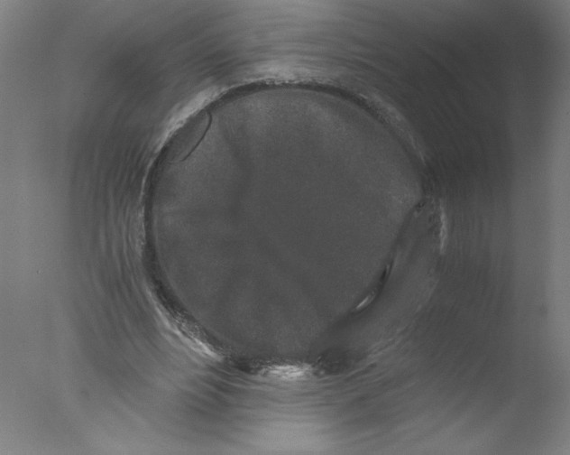 X0000076070488200610202018