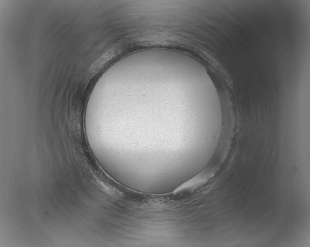 X0000076070489200610202018