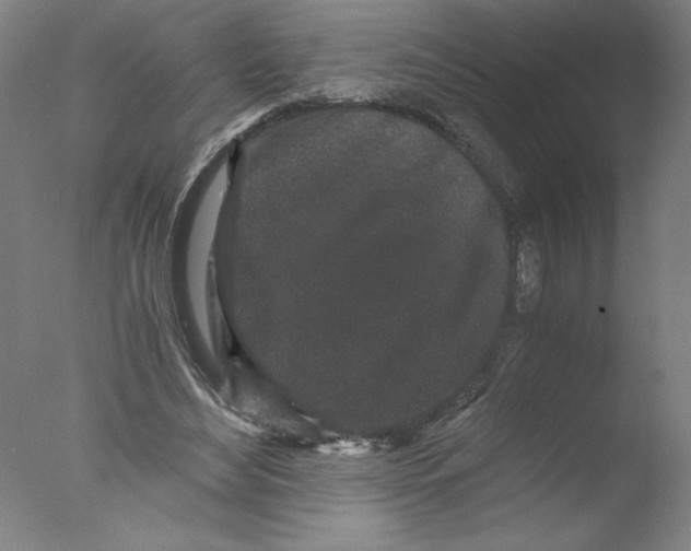 X0000076070492200610202018