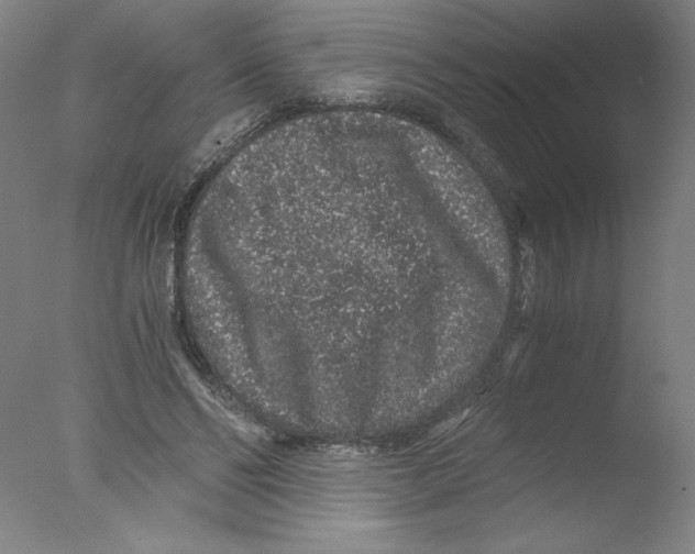 X0000076070494200610202018