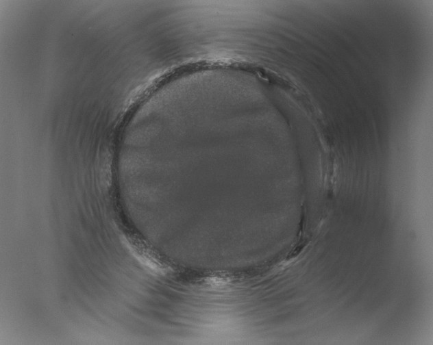 X0000076070496200610202018