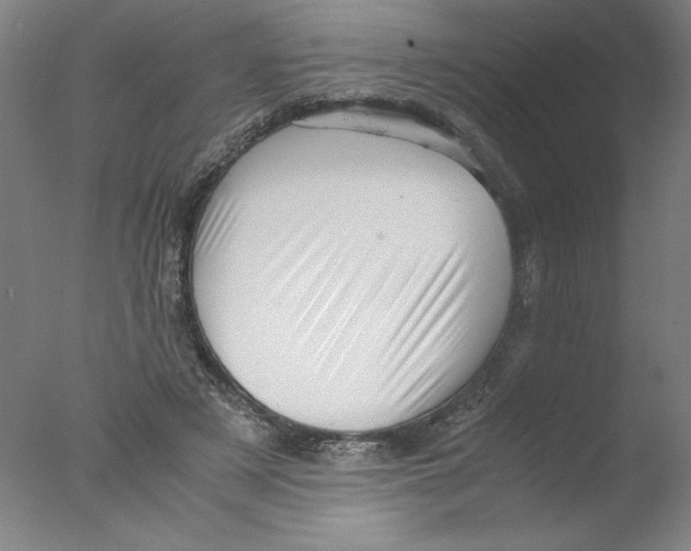 X0000076070497200610202018