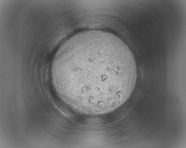 X0000076070499200610202018