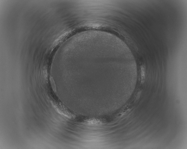 X0000076070500200610202018