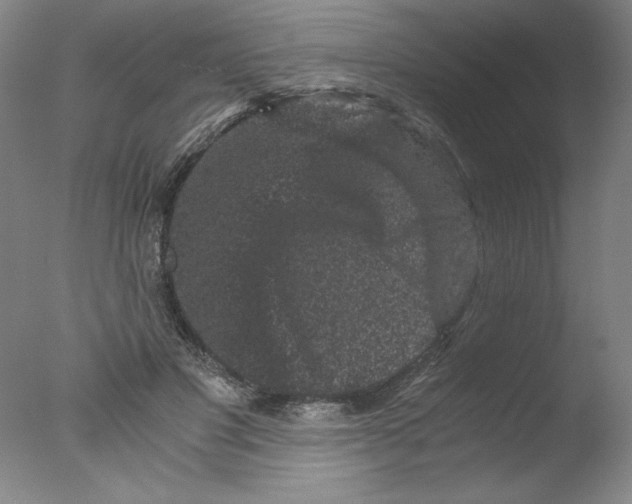 X0000076070501200610202018