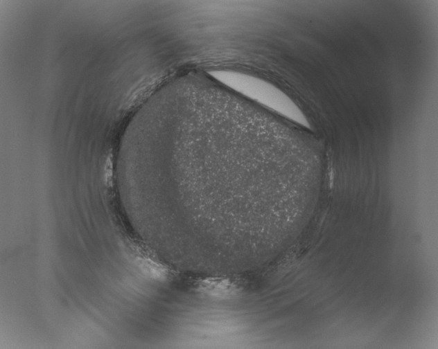 X0000076070502200610202018