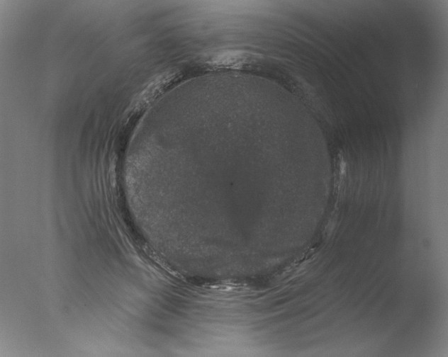 X0000076070504200610202018