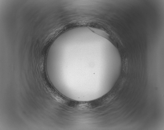 X0000076070505200610202018