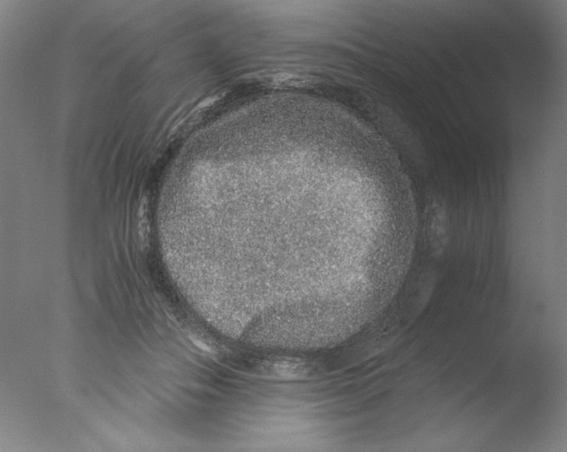 X0000076070506200610202018