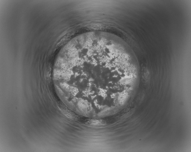 X0000076070507200610202018