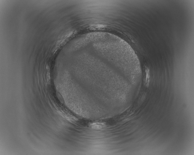 X0000076070508200610202018