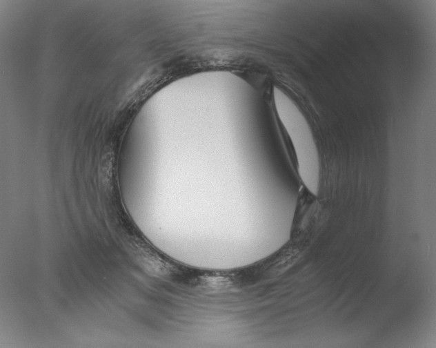 X0000076070509200610202018