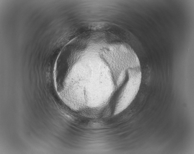 X0000076070510200610202018