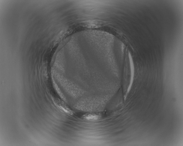 X0000076070512200610202018