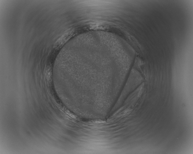 X0000076070513200610202017