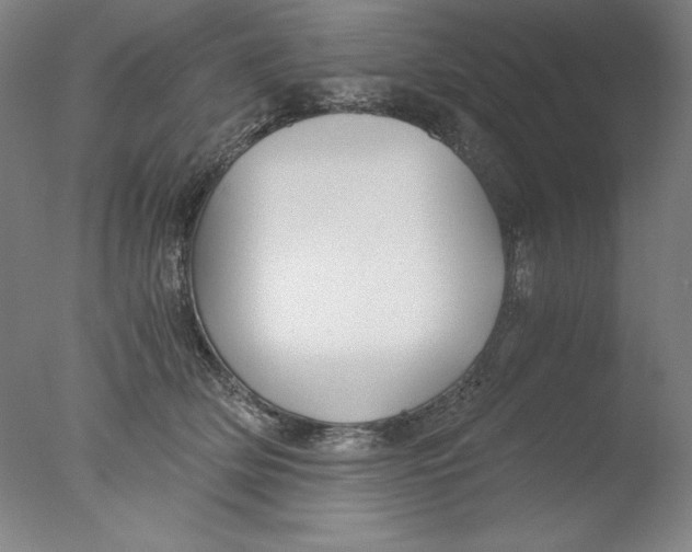 X0000076070514200610202017