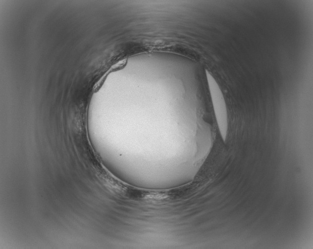 X0000076070515200610202017